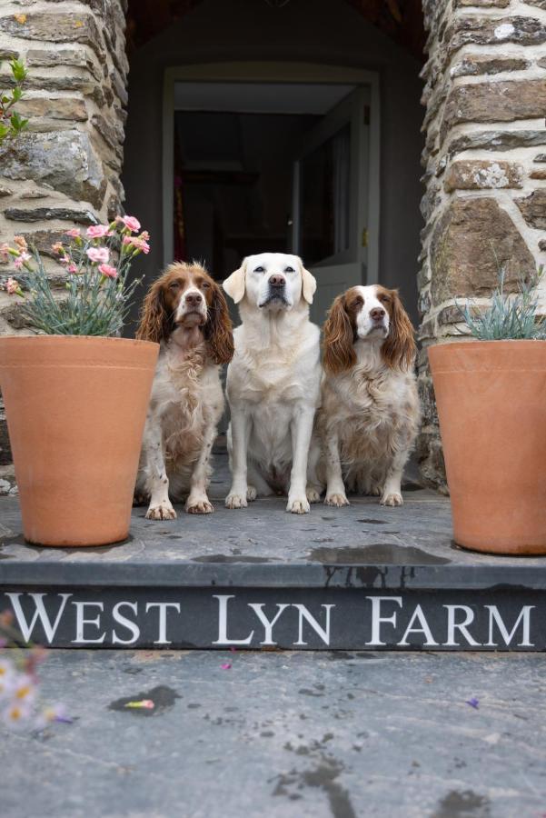 Bed and Breakfast West Lyn Farm Lynton Exterior foto